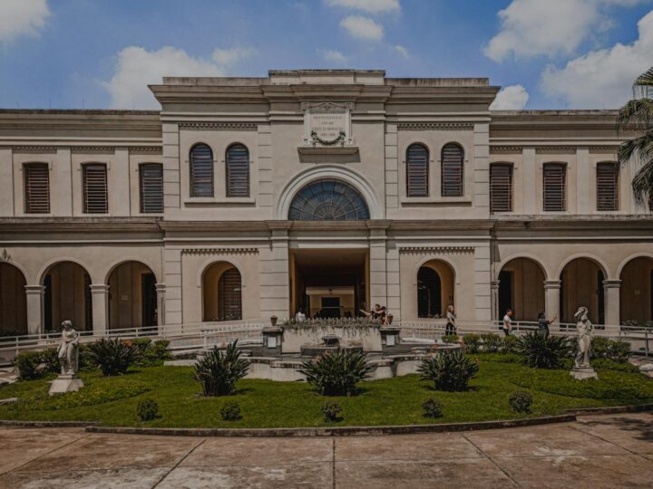 Museo Nazionale di Storia Naturale Grigore Antipa